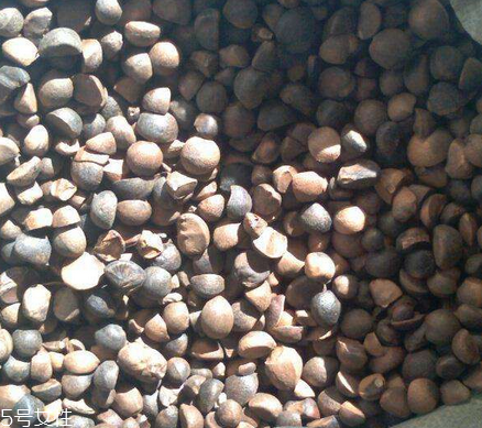 茶油如何食用 這樣吃最健康 茶油如何食用 這樣吃最健康