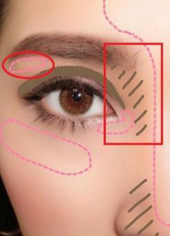 畫眉毛的7大技巧 你都知道嗎 畫眉毛的7大技巧 你都知道嗎
