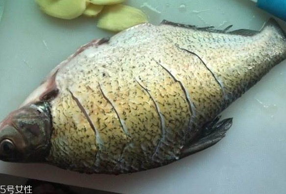 鳊魚(yú)有魚(yú)腥線嗎 淡水魚(yú)一般都有 鳊魚(yú)有魚(yú)腥線嗎 淡水魚(yú)一般都有