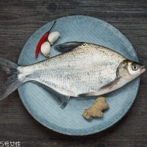 鳊魚(yú)有魚(yú)腥線嗎 淡水魚(yú)一般都有 鳊魚(yú)有魚(yú)腥線嗎 淡水魚(yú)一般都有
