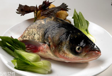 胖頭魚晚上可以釣嗎 這兩個時間段最好 胖頭魚晚上可以釣嗎 這兩個時間段最好