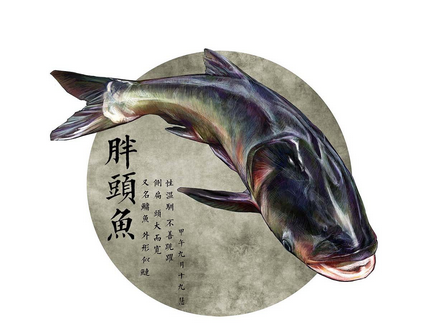 胖頭魚身子怎么做好吃 這幾招就夠了 胖頭魚身子怎么做好吃 這幾招就夠了