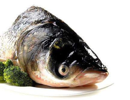 胖頭魚刺多嗎 并不算多 胖頭魚刺多嗎 并不算多