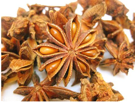 八角哪里產(chǎn)的好 首選是廣西八角 八角哪里產(chǎn)的好 首選是廣西八角