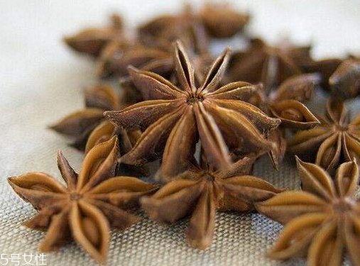 八角對(duì)孕婦有影響嗎 孕婦不吃為好 八角對(duì)孕婦有影響嗎 孕婦不吃為好