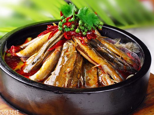 泥鰍是大的好還是小的好 大小都有營養(yǎng) 泥鰍是大的好還是小的好 大小都有營養(yǎng)