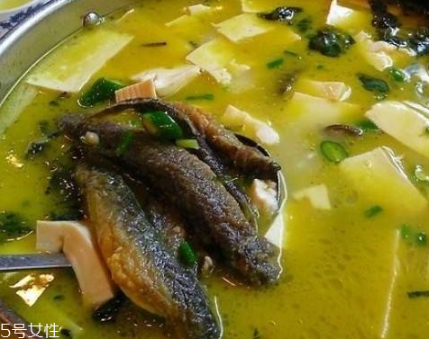 泥鰍為什么那么滑 是粘液在作怪 泥鰍為什么那么滑 是粘液在作怪