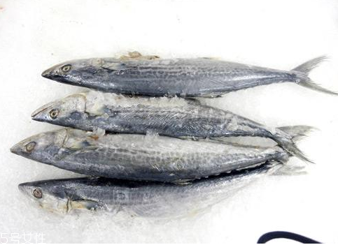 秋刀魚為什么不去內(nèi)臟 苦味是精髓 秋刀魚為什么不去內(nèi)臟 苦味是精髓