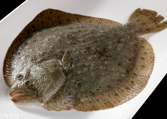 多寶魚怎么殺 用對(duì)方法很重要 多寶魚怎么殺 用對(duì)方法很重要