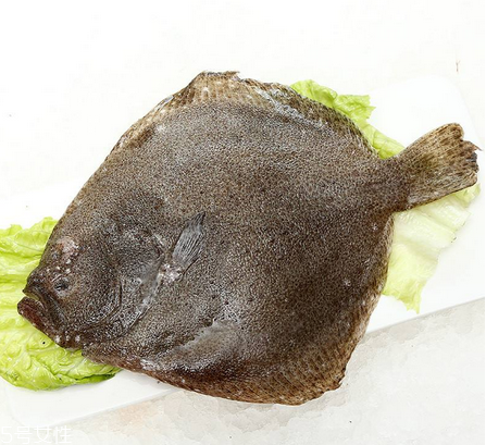 多寶魚怎么殺 用對(duì)方法很重要 多寶魚怎么殺 用對(duì)方法很重要