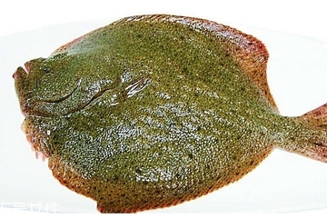 多寶魚有魚鱗嗎 不多但是有 多寶魚有魚鱗嗎 不多但是有