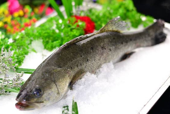 鱸魚(yú)可以做湯嗎 做湯很鮮美 鱸魚(yú)可以做湯嗎 做湯很鮮美
