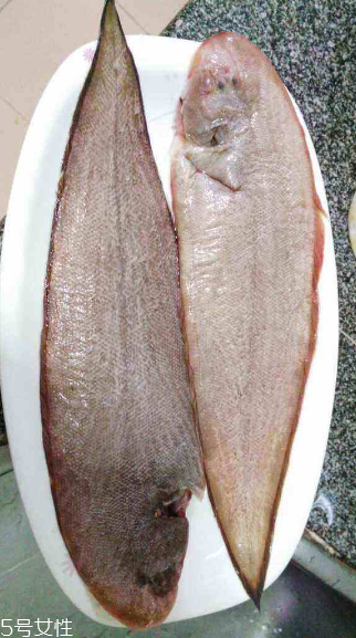 龍利魚可以生吃嗎 需經(jīng)過處理 龍利魚可以生吃嗎 需經(jīng)過處理