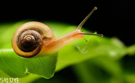 對抗初老用什么護(hù)膚品 抗初老最全攻略在這里 對抗初老用什么護(hù)膚品 抗初老最全攻略在這里