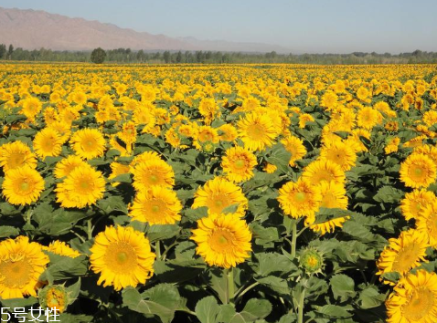 對抗初老用什么護(hù)膚品 抗初老最全攻略在這里 對抗初老用什么護(hù)膚品 抗初老最全攻略在這里