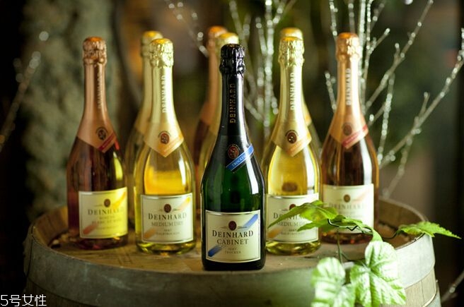 起泡酒是什么 起泡酒怎么喝 起泡酒是什么 起泡酒怎么喝