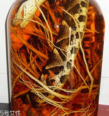 藥酒去濕氣效果好嗎 泡對(duì)了才有效 藥酒去濕氣效果好嗎 泡對(duì)了才有效