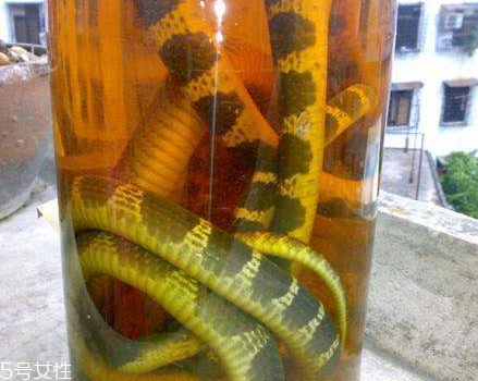 藥酒味道重怎么處理 這樣處理就對(duì)了 藥酒味道重怎么處理 這樣處理就對(duì)了