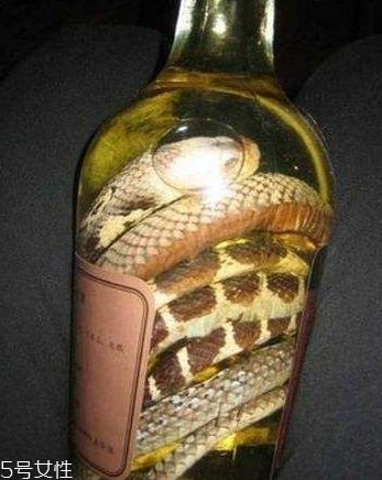 藥酒味道重怎么處理 這樣處理就對(duì)了 藥酒味道重怎么處理 這樣處理就對(duì)了