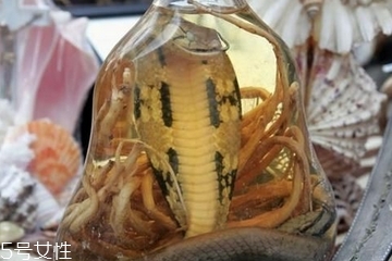 藥酒太苦可以加蜂蜜嗎 加的時(shí)機(jī)很重要 藥酒太苦可以加蜂蜜嗎 加的時(shí)機(jī)很重要