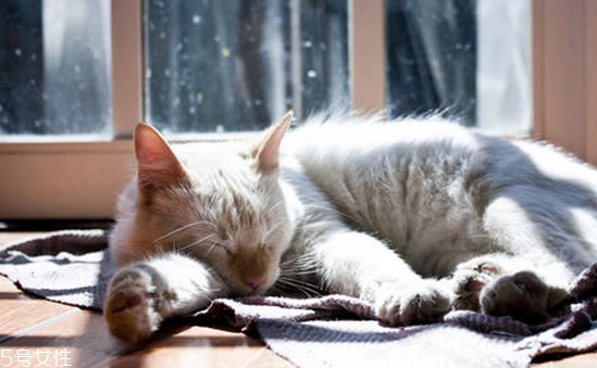 睡覺突然抖一下的原因 睡覺突然抽搐 睡覺突然抖一下的原因 睡覺突然抽搐