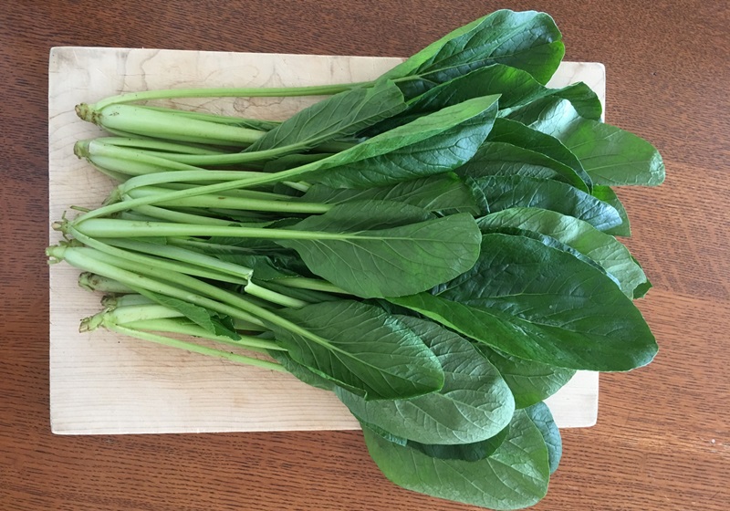 小松菜是什么菜 小松菜怎么保存與挑選 小松菜是什么菜 小松菜怎么保存與挑選