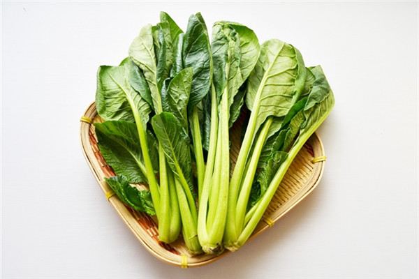 小松菜是什么菜 小松菜怎么保存與挑選 小松菜是什么菜 小松菜怎么保存與挑選