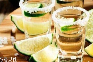 龍舌蘭酒怎么喝 不能錯過的知識 龍舌蘭酒怎么喝 不能錯過的知識