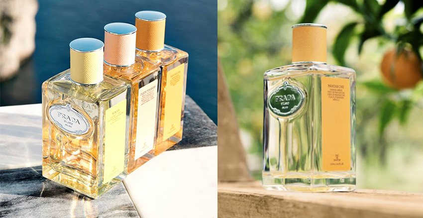 情人節(jié)噴什么香水好 噴香水5招讓他愛上你 情人節(jié)噴什么香水好 噴香水5招讓他愛上你