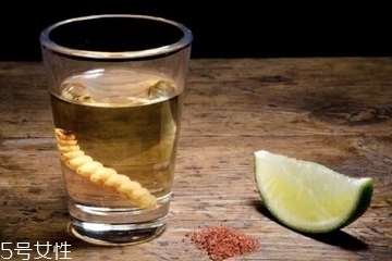 龍舌蘭酒好喝嗎 方法對(duì)了才好喝 龍舌蘭酒好喝嗎 方法對(duì)了才好喝