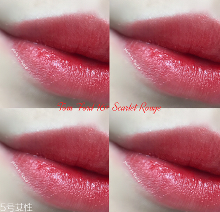 tf黑管15和16哪個(gè)好看 tf黑管15和16號(hào)試色及價(jià)格 tf黑管15和16哪個(gè)好看 tf黑管15和16號(hào)試色及價(jià)格