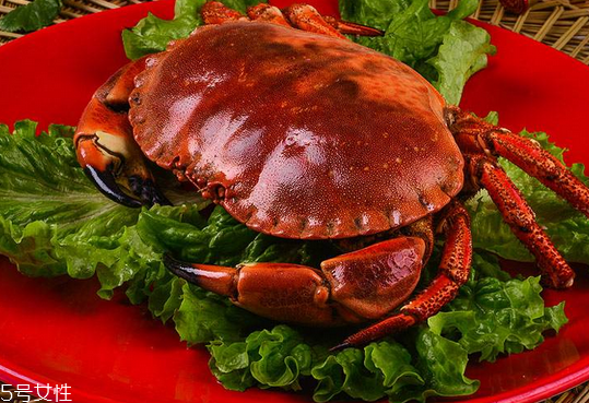 面包蟹有蟹黃嗎 有而且很多 面包蟹有蟹黃嗎 有而且很多