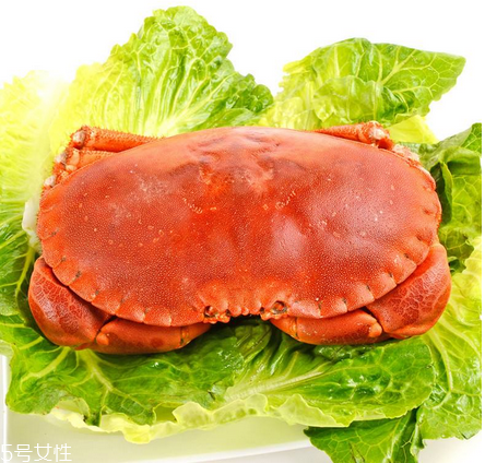 面包蟹有蟹黃嗎 有而且很多 面包蟹有蟹黃嗎 有而且很多