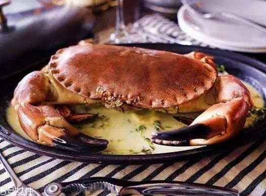 面包蟹分公母嗎 肯定分公母 面包蟹分公母嗎 肯定分公母