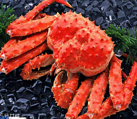 帝王蟹腿怎么吃 吃帝王蟹必看 帝王蟹腿怎么吃 吃帝王蟹必看