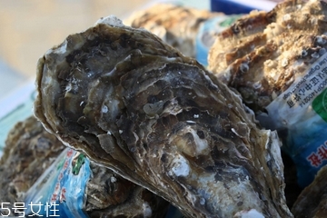 生蠔會(huì)回奶嗎 沒有回奶功效