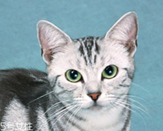 美瞳什么材質(zhì)的好 各有各的優(yōu)點(diǎn) 美瞳什么材質(zhì)的好 各有各的優(yōu)點(diǎn)