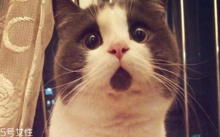 日拋型美瞳含水量高嗎 多為高含水量型 日拋型美瞳含水量高嗎 多為高含水量型