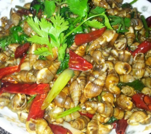 海螺要煮多久 大螺小螺不一樣 海螺要煮多久 大螺小螺不一樣