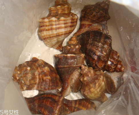 海螺里面的都能吃嗎 內(nèi)臟是不能吃的 海螺里面的都能吃嗎 內(nèi)臟是不能吃的