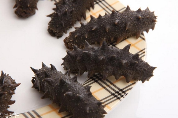 海參為什么會化成水 竟是這個(gè)原因