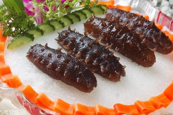 海參哪里的好 北方海參質(zhì)量更好 海參哪里的好 北方海參質(zhì)量更好