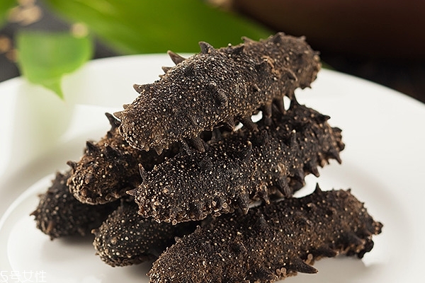 海參哪里的好 北方海參質(zhì)量更好 海參哪里的好 北方海參質(zhì)量更好