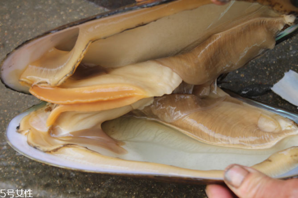 河蚌能和白酒一起吃嗎 白酒是可以的 河蚌能和白酒一起吃嗎 白酒是可以的