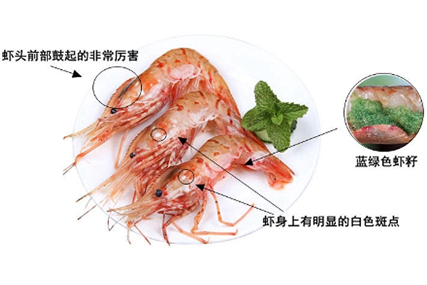 牡丹蝦產(chǎn)自哪里 主要來自于2個產(chǎn)區(qū) 牡丹蝦產(chǎn)自哪里 主要來自于2個產(chǎn)區(qū)