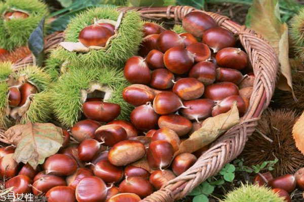 板栗可以和魚一起吃嗎 魚是可以的 板栗可以和魚一起吃嗎 魚是可以的