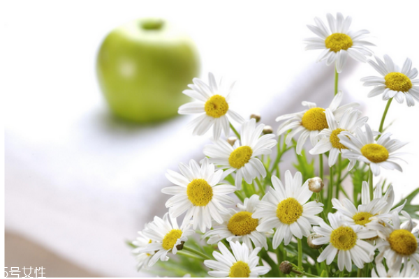 身體老化的進程與原兇 身體老化的進程與原兇