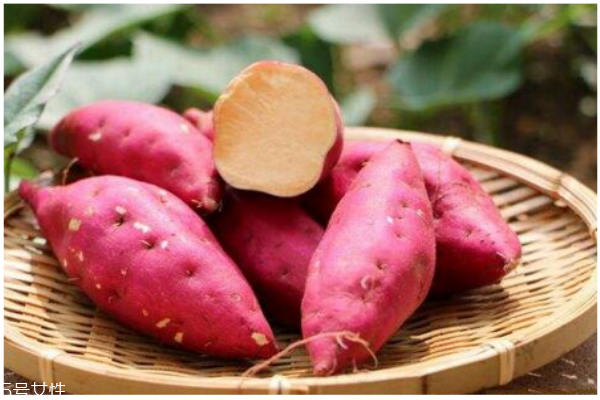 秋季養(yǎng)生薯類選擇是王道 營養(yǎng)健康一級(jí)棒 秋季養(yǎng)生薯類選擇是王道 營養(yǎng)健康一級(jí)棒