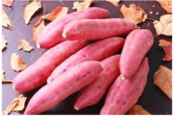 秋季養(yǎng)生薯類選擇是王道 營養(yǎng)健康一級(jí)棒 秋季養(yǎng)生薯類選擇是王道 營養(yǎng)健康一級(jí)棒