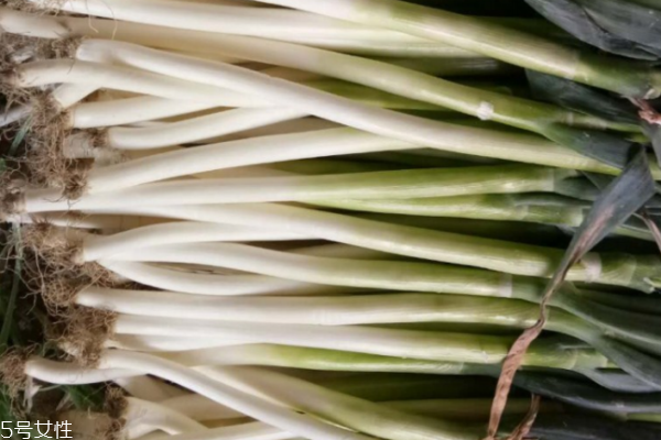 為什么喜歡吃大蔥 是一種飲食習(xí)慣 為什么喜歡吃大蔥 是一種飲食習(xí)慣